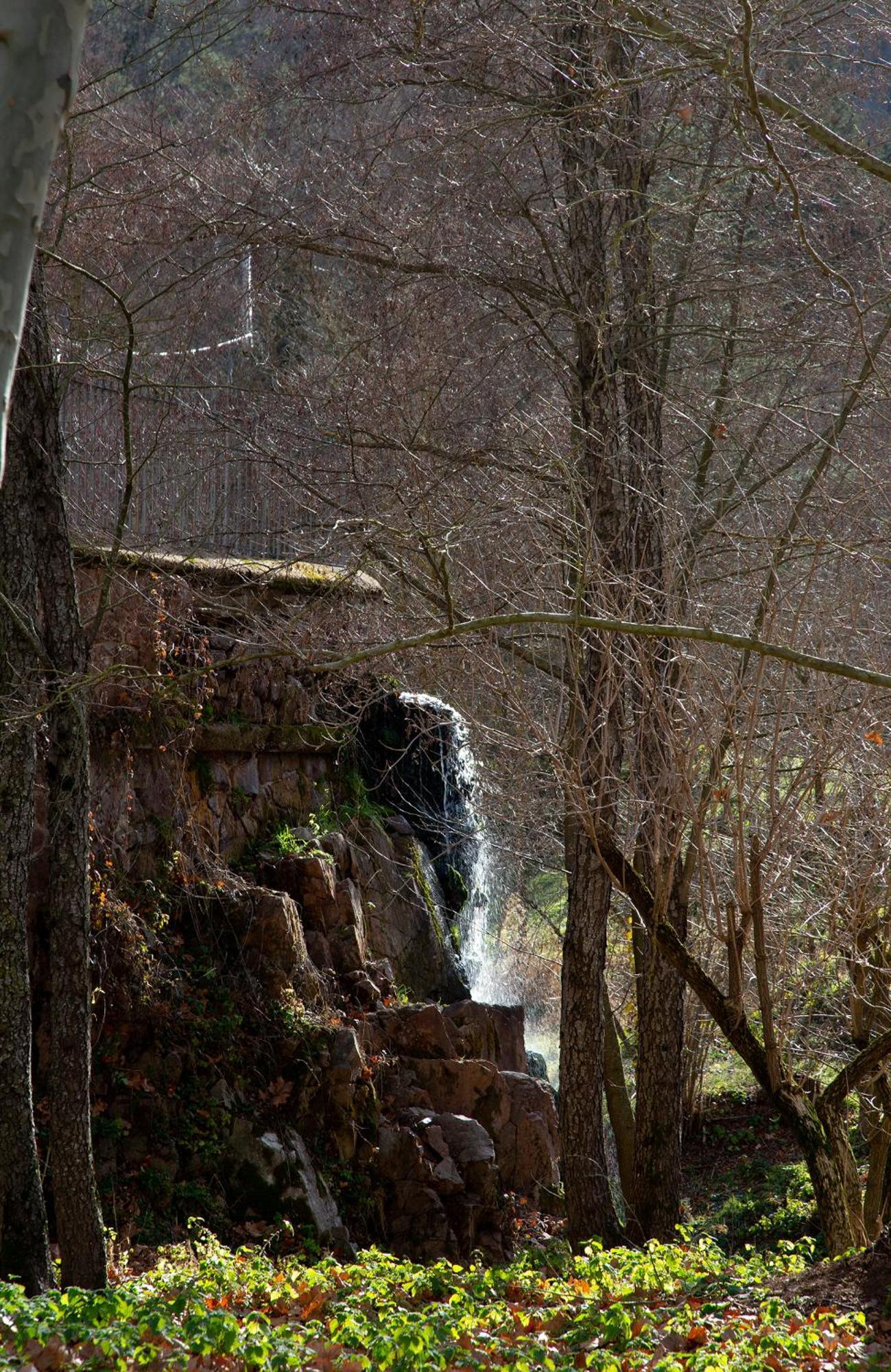 Casa Fabregas - Benestar Natural Viladrau Εξωτερικό φωτογραφία